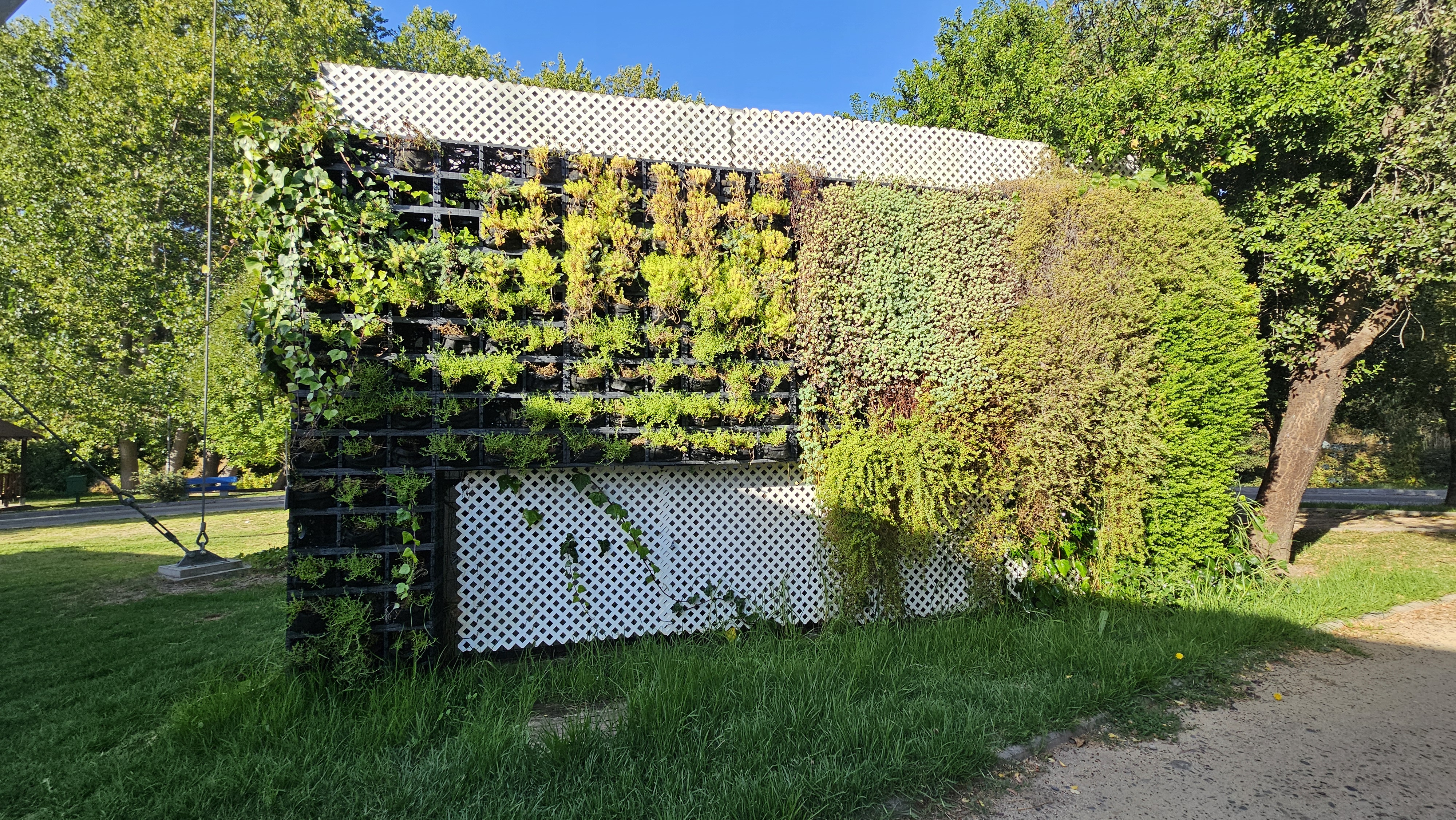 Fotografía de vegetación del parque
